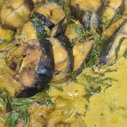 ขนมจีนน้ำยาแกงคั่วปลาดุก