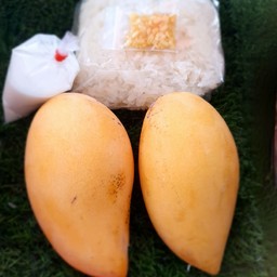 มะม่วงขึ้นอยู่กับฤดูกาล