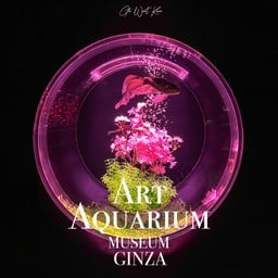 Art Aquarium museum