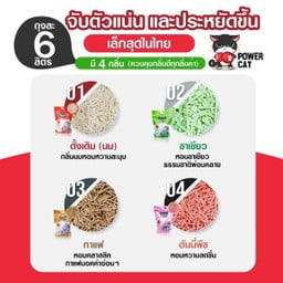 ทรายเต้าหู้ Power cat กลิ่นชาเขียว