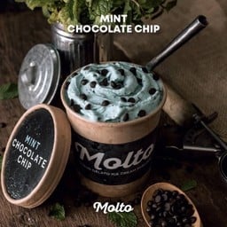 มิ้นชิพ