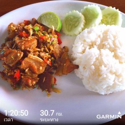สามชั้นคั่วเกลือราดข้าว