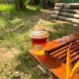 ชาน้ำผึ้งเลม่อนมะนาว (Ice lemon tea)