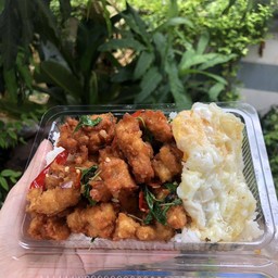 กระเพราไก่กรอบราดข้าว