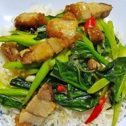 ข้าวราดคะน้า