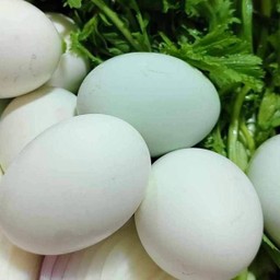 ไข่เป็ดต้ม2ใบ