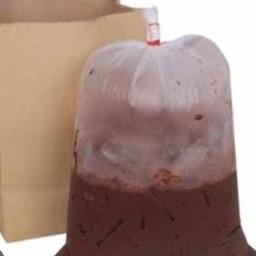 โกโก้เย็น ถุงกระดาษ