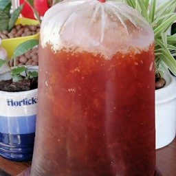 ชาดำเย็น