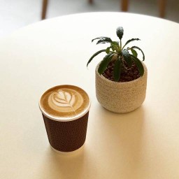 Hot Vanilla Latte