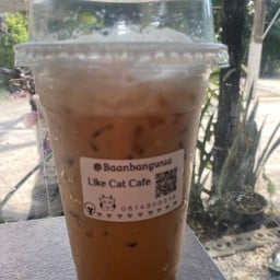 Like Cats Cafe’