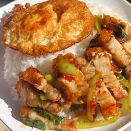 กระเพราโคตรแซ่บ นาป่า