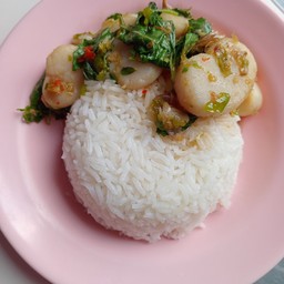 ทิพย์ ร้านลับลับ