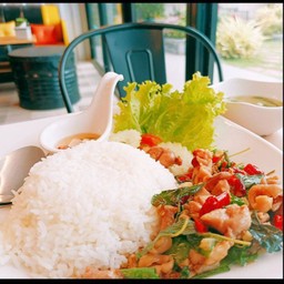 ผัดกะเพราหมูชิ้นราดข้าว
