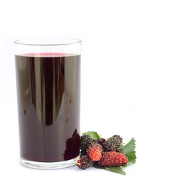 มัลเบอร์รี่-เย็น