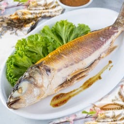 ปลากระบอกแช่เย็น (โอวฮื้อ)