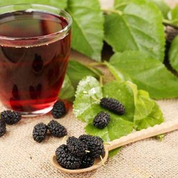 ชาไทยมัลเบอร์รี่-เย็น