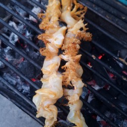 แมงกระพรุน