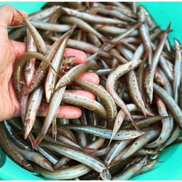 ปลารากกล้วยทอดกระเทียม