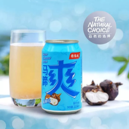 น้ำแห้ว (มีเนื้อ) Water Chestnut