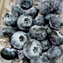 บลูเบอรี่ นำเข้า 125 กรัม (1 กล่อง)