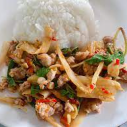 ผัดกระเพราหน่อไม้เหลืองราดข้าว