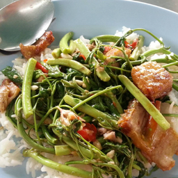ข้าวราดผัดกระเฉดหมูกรอบ