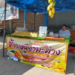 ข้าวเหนียวมะม่วงแม่ติ๋ม กองวัคซีน ไนท์พลาซ่าปากช่อง