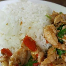 กระเพราไก่ราดข้าว