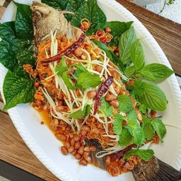 ปลากะพงลุยสวน