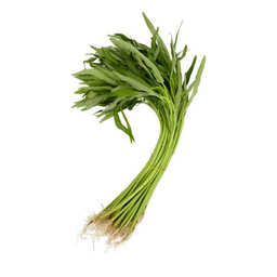 ผักบุ้ง