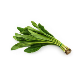 ผักชีฝรั่ง