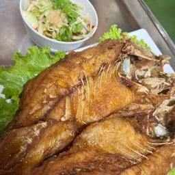ปลากะพงทอดราดน้ำปลา (ตัว)