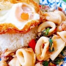 กะเพราปลาหมึก+ไข่ดาว ราดข้าว