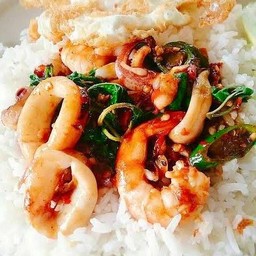 กะเพรากุ้ง+ปลาหมึก+ไข่ดาว ราดข้าว