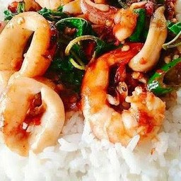 กะเพรากุ้ง+ปลาหมึก ราดข้าว
