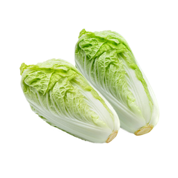 ผักกาดขาว