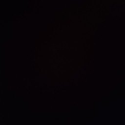 ผัดน้ำมันหอยหมูชิ้นราดข้าว