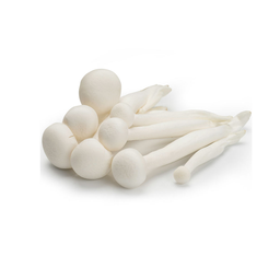 เห็ดหลินขาว