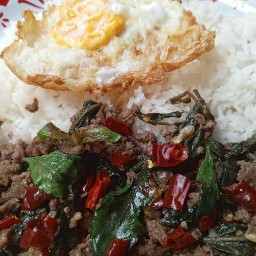 กะเพรา 100% (ใส่พริกแห้งแซ่บสะท้านต่อมเหงื่อ)