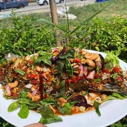 ปลากะพงลุยสวน