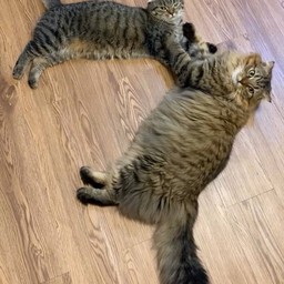 ขนม2หน่อ