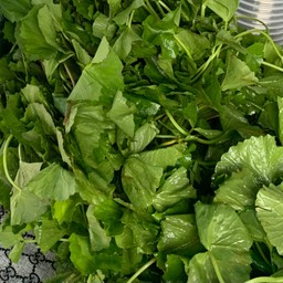 ใบบัวบกกำ