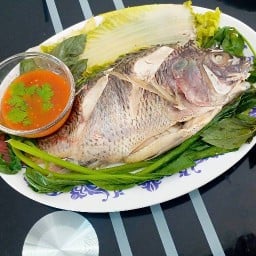 ตามสั่ง อาหารป่า อาหารอีสาน ไก่ทอด ปลาทอด ของทานเล่น สั่งตามใจ By Sani