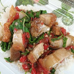 กะเพราหมูกรอบ