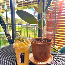 น้ำมะม่วงปั่น