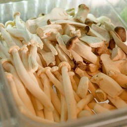 เห็ดออรินจิ 1 ขีด