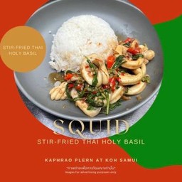 ข้าวราด กะเพราปลาหมึก