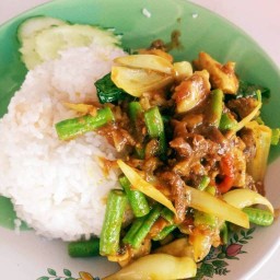 ครัวจ๊ะก้อย ตามสั่ง (ฮาลาลฟู้ด) ข้างหมอวิทย์