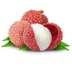 ลิ้นจี่โซดา