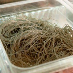 เส้นเล็กหม่าล่า 1 ขีด